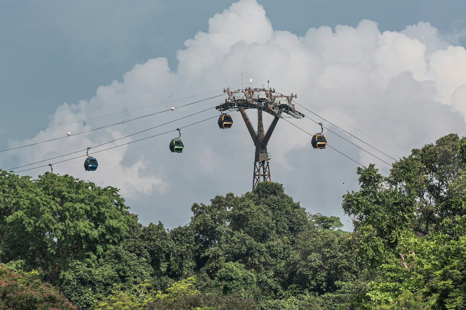 Sentosa cable car cabins passing a pylon above the rainforest